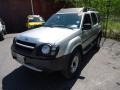 2002 Silver Ice Metallic Nissan Xterra XE V6 4x4  photo #11