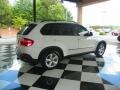 Alpine White - X5 3.0si Photo No. 6