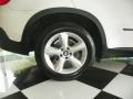 Alpine White - X5 3.0si Photo No. 7