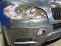 Platinum Gray Metallic - X5 xDrive 35i Photo No. 5