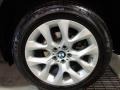 Platinum Gray Metallic - X5 xDrive 35i Photo No. 15