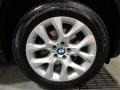 Platinum Gray Metallic - X5 xDrive 35i Photo No. 16