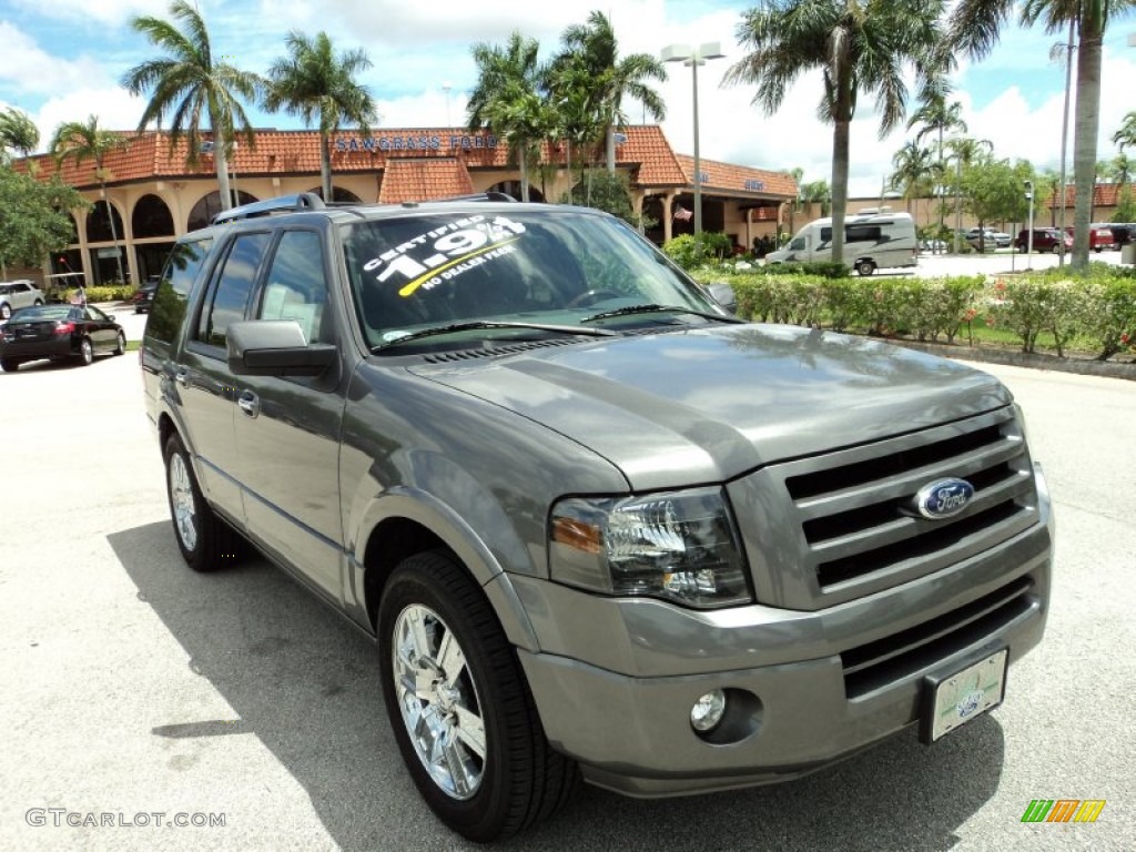 2010 Expedition Limited - Sterling Grey Metallic / Charcoal Black photo #1