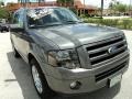 2010 Sterling Grey Metallic Ford Expedition Limited  photo #2