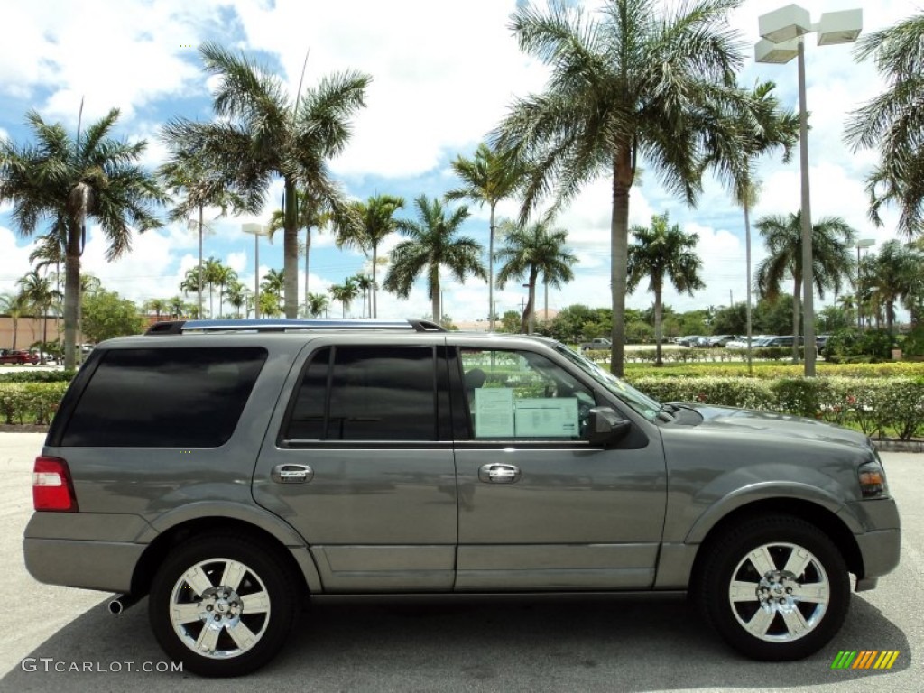 Sterling Grey Metallic 2010 Ford Expedition Limited Exterior Photo #81764499