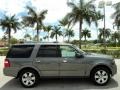 Sterling Grey Metallic 2010 Ford Expedition Limited Exterior
