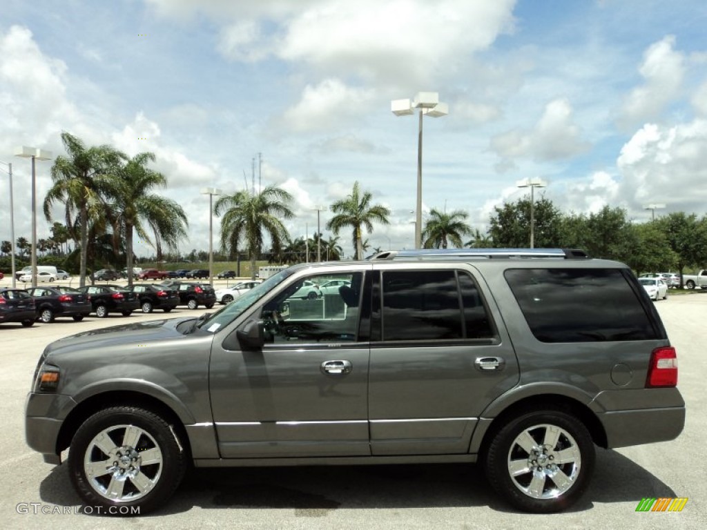 Sterling Grey Metallic 2010 Ford Expedition Limited Exterior Photo #81764665