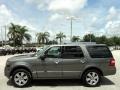 2010 Sterling Grey Metallic Ford Expedition Limited  photo #12