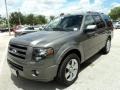 2010 Sterling Grey Metallic Ford Expedition Limited  photo #13