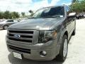 2010 Sterling Grey Metallic Ford Expedition Limited  photo #14
