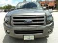 2010 Sterling Grey Metallic Ford Expedition Limited  photo #15