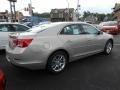 Champagne Silver Metallic - Malibu LT Photo No. 5