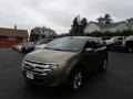 Ginger Ale Metallic 2012 Ford Edge SEL AWD