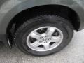 Amazon Green Metallic - Pilot EX 4WD Photo No. 8