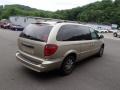 2007 Linen Gold Metallic Chrysler Town & Country Limited  photo #8