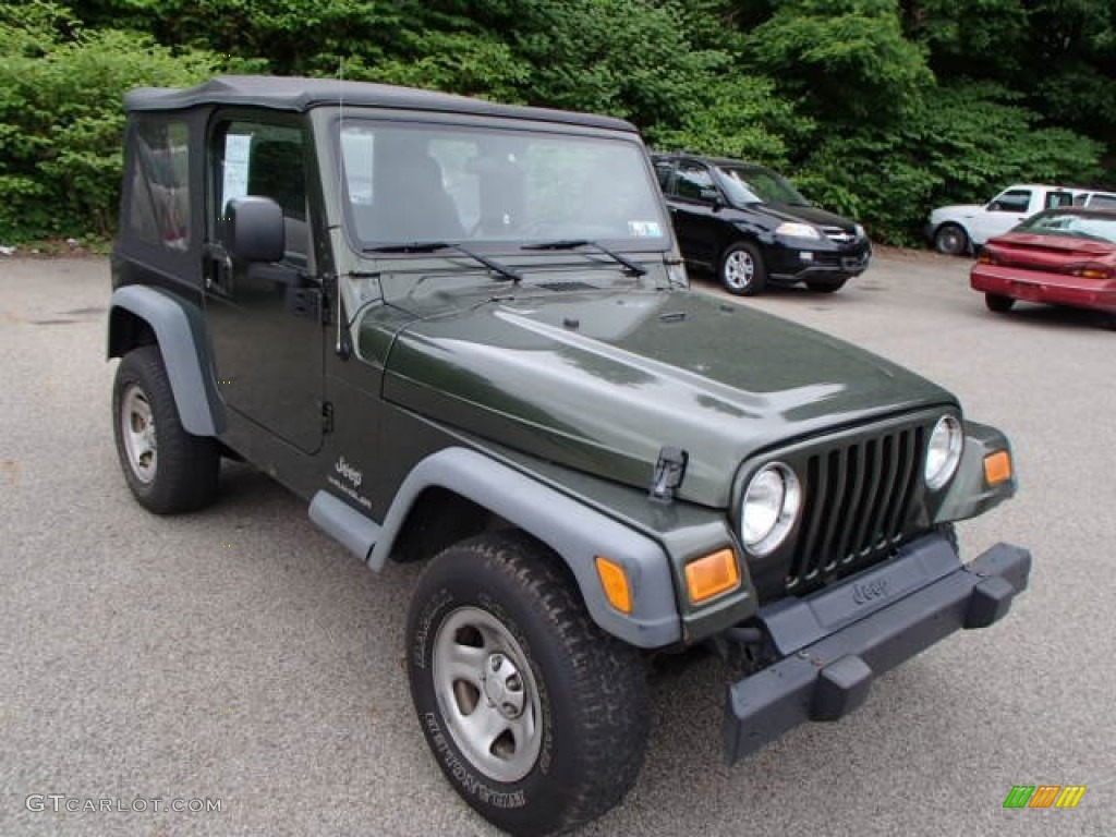 2006 Wrangler SE 4x4 - Jeep Green Metallic / Dark Slate Gray photo #2