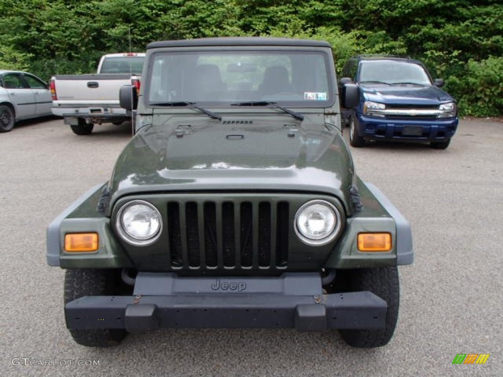 2006 Wrangler SE 4x4 - Jeep Green Metallic / Dark Slate Gray photo #3