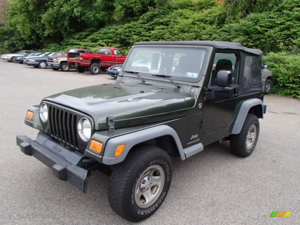 2006 Wrangler SE 4x4 - Jeep Green Metallic / Dark Slate Gray photo #4