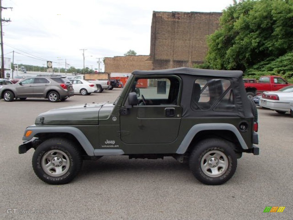2006 Wrangler SE 4x4 - Jeep Green Metallic / Dark Slate Gray photo #5