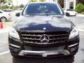 Black - ML 350 4Matic Photo No. 2