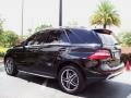 Black - ML 350 4Matic Photo No. 5