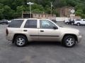 Sandstone Metallic 2005 Chevrolet TrailBlazer LS 4x4 Exterior