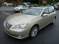 Satin Cashmere Metallic - ES 350 Photo No. 2