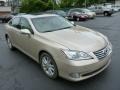 Satin Cashmere Metallic - ES 350 Photo No. 3
