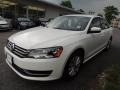 Candy White - Passat 2.5L S Photo No. 3