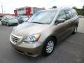 2010 Mocha Metallic Honda Odyssey EX  photo #3