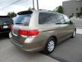 2010 Mocha Metallic Honda Odyssey EX  photo #6