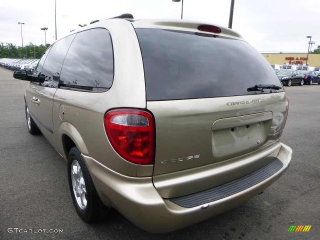 2003 Grand Caravan Sport - Light Almond Pearl / Taupe photo #4