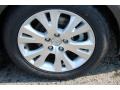 Magnetic Gray Metallic - Avalon  Photo No. 24
