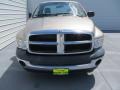 2004 Light Almond Pearl Dodge Ram 1500 ST Regular Cab  photo #8