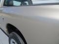 2004 Light Almond Pearl Dodge Ram 1500 ST Regular Cab  photo #19