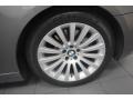 2008 Sterling Grey Metallic BMW 7 Series 750Li Sedan  photo #8