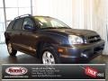 2005 Pewter Gray Hyundai Santa Fe GLS #81810368