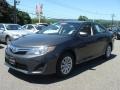 Magnetic Gray Metallic - Camry LE Photo No. 3