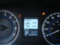 Malbec Black - G 37 Journey Sedan Photo No. 14
