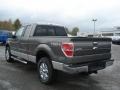 2013 Sterling Gray Metallic Ford F150 XLT SuperCab 4x4  photo #6