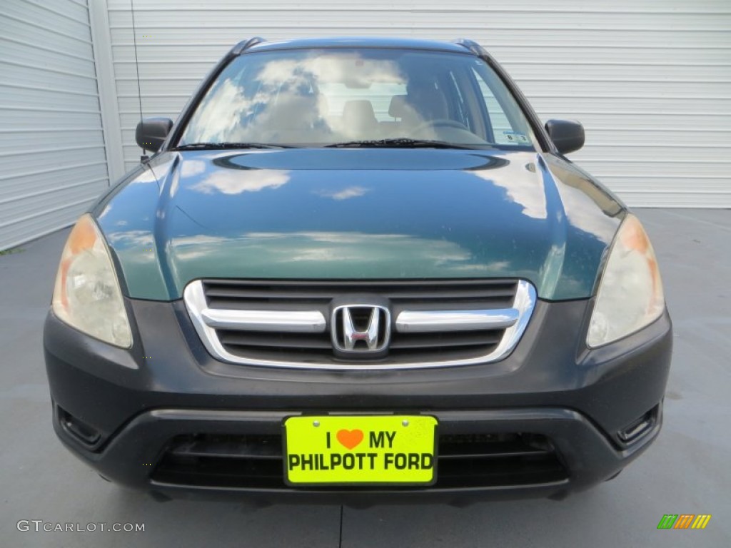 2003 CR-V LX - Clover Green Pearl / Saddle photo #8
