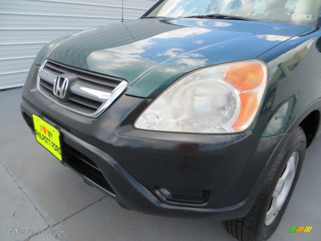 2003 CR-V LX - Clover Green Pearl / Saddle photo #10