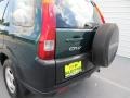 2003 Clover Green Pearl Honda CR-V LX  photo #18