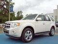 2010 White Suede Ford Escape Limited  photo #1