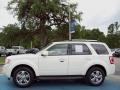 2010 White Suede Ford Escape Limited  photo #2