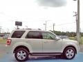 2010 White Suede Ford Escape Limited  photo #6