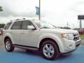 2010 White Suede Ford Escape Limited  photo #7