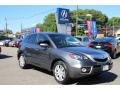 Polished Metal Metallic - RDX SH-AWD Technology Photo No. 1