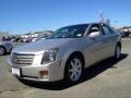 Light Platinum - CTS Sedan Photo No. 1