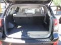 Ebony Black - Santa Fe GLS 4WD Photo No. 10